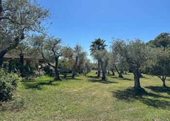 Foto 102 - Villa ponte brandinu
 
99/m, Sassari - foto 102