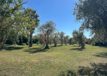 Foto 103 - Villa ponte brandinu
 
99/m, Sassari - foto 103
