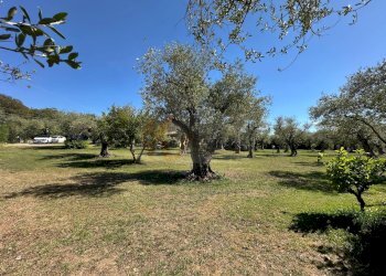 Foto 104 - Villa ponte brandinu
 
99/m, Sassari - foto 104