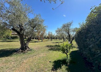 Foto 105 - Villa ponte brandinu
 
99/m, Sassari - foto 105