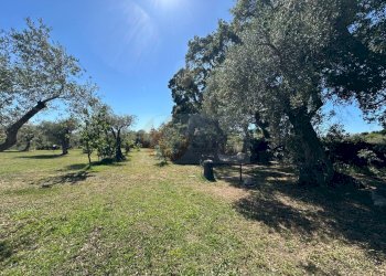 Foto 109 - Villa ponte brandinu
 
99/m, Sassari - foto 109