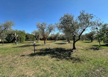 Foto 110 - Villa ponte brandinu
 
99/m, Sassari - foto 110