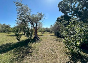 Foto 113 - Villa ponte brandinu
 
99/m, Sassari - foto 113