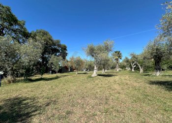 Foto 114 - Villa ponte brandinu
 
99/m, Sassari - foto 114