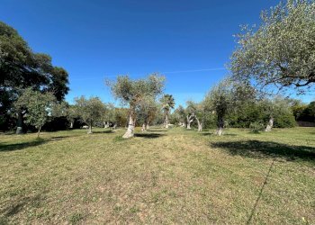 Foto 116 - Villa ponte brandinu
 
99/m, Sassari - foto 116