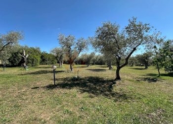 Foto 117 - Villa ponte brandinu
 
99/m, Sassari - foto 117