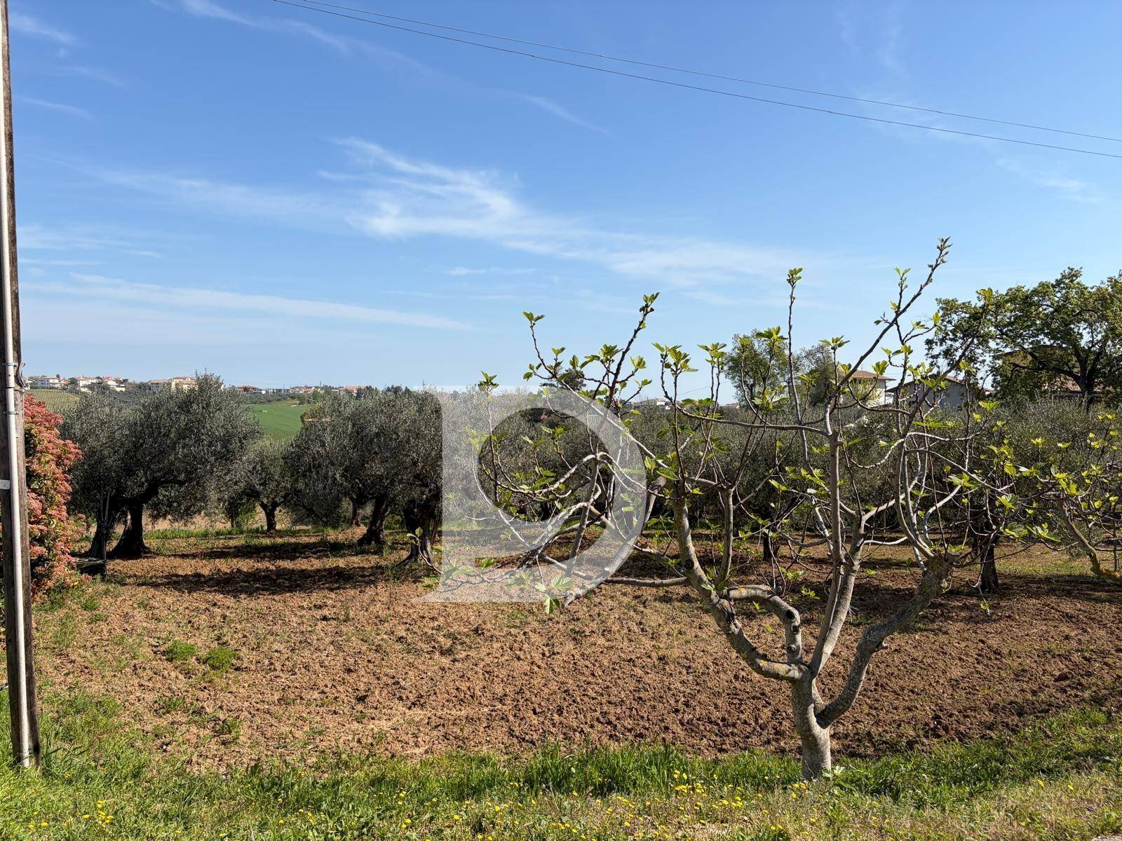 Foto 1 - Building land Via Boreale, Pianella - photo 1