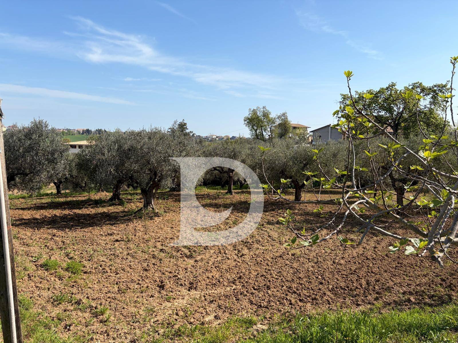 Foto 2 - Building land Via Boreale, Pianella - photo 2