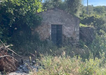 Foto 2 - Casa indipendente Località Pispino
 
snc, Monte Argentario - foto 2