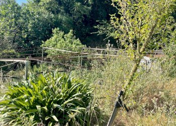 Foto 7 - Casa indipendente Località Pispino
 
snc, Monte Argentario - foto 7