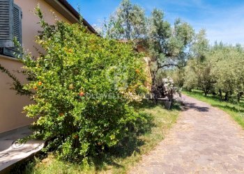 Foto 18 - Villa Località Servelli, Caprarola - foto 18
