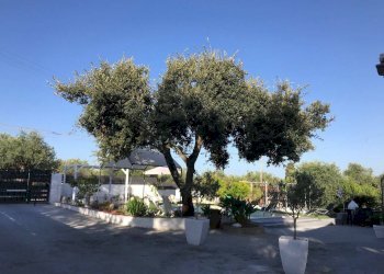 Foto 5 - Villa S.V. Taniga San Giacomo Medas
 
24, Sassari - foto 5
