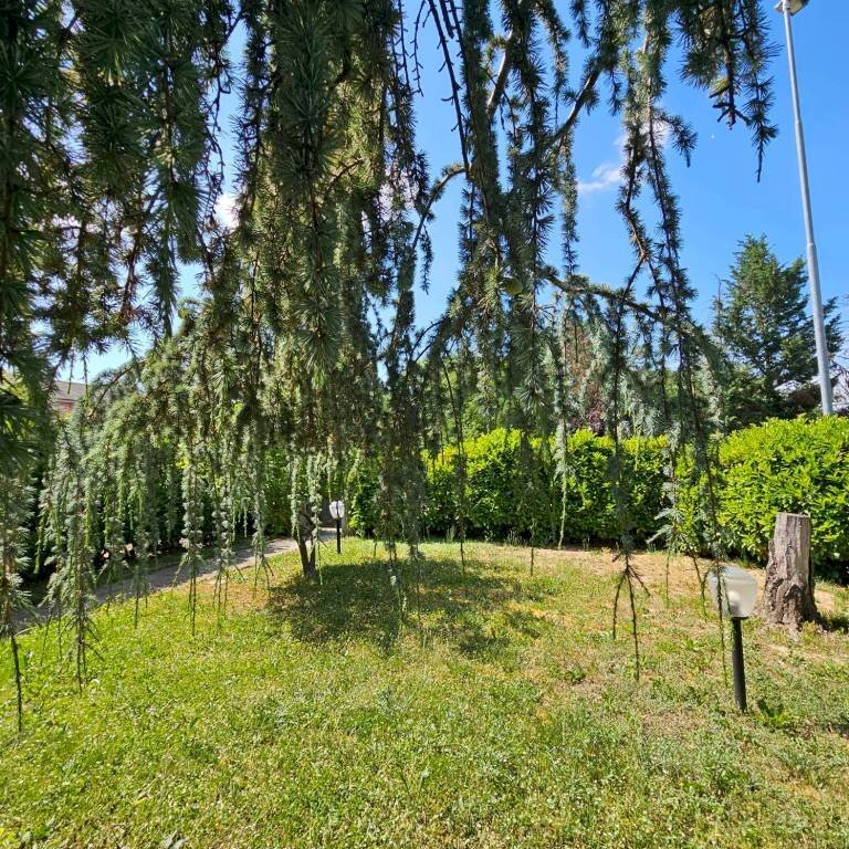 Giardino - Terraced Villa via Paolo Borsellino, Asti - photo 2