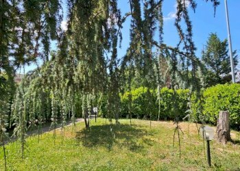 Giardino - Villa a Schiera via Paolo Borsellino, Asti - foto 2