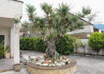Giardino - Villa TAVERNA VECCHIA
 
15, Cervaro - foto 4