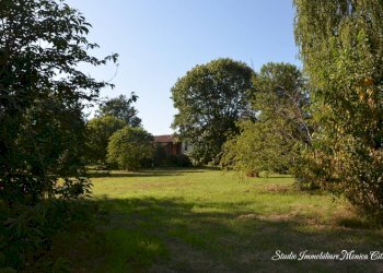 Cascina Via Bussolina 1, Castelletto Monferrato - foto 49