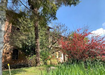 Farmhouse Via Tetti Trinità 78, Montaldo Torinese - photo 5