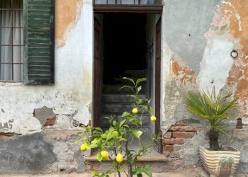 Farmhouse Via Tetti Trinità 78, Montaldo Torinese - photo 8