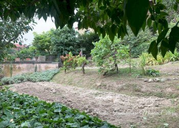 Farmhouse Via Tetti Trinità 78, Montaldo Torinese - photo 49