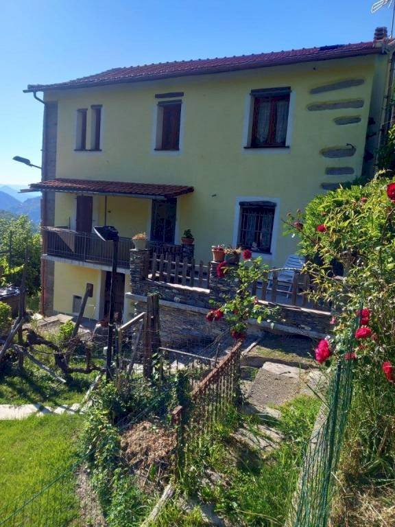 Terraced Villa Bargagli - photo 1