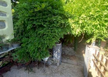 Villa a Schiera Bargagli - foto 31