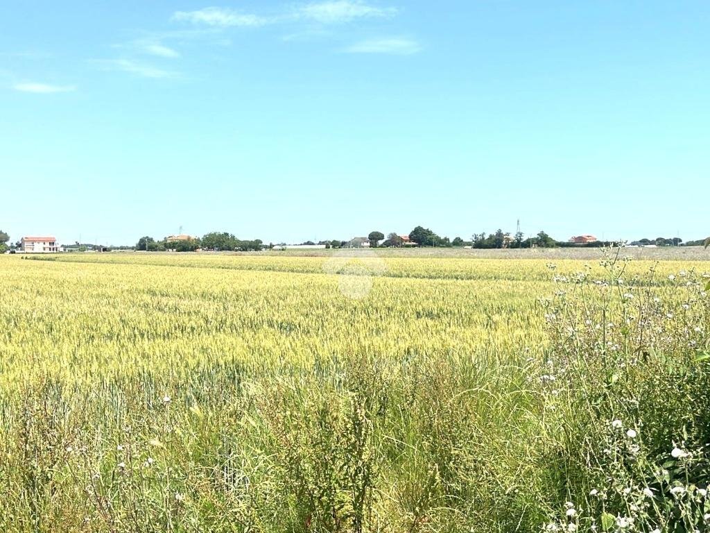 Agricultural land Via Mariana, Cesena - photo 1