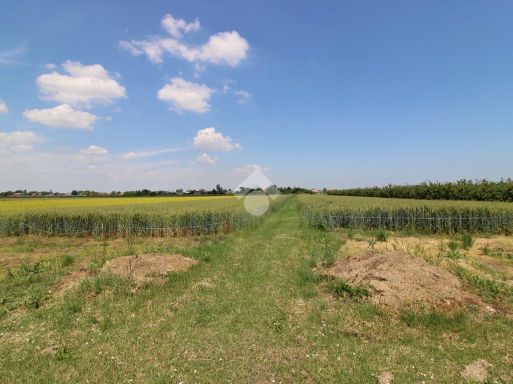 Agricultural land Via Mariana, Cesena - photo 2