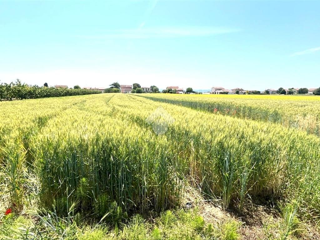 Agricultural land Via Mariana, Cesena - photo 3
