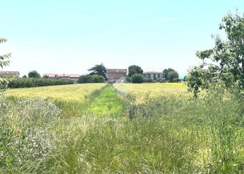 Agricultural land Via Mariana, Cesena - photo 7