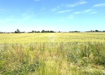 Agricultural land Via Mariana, Cesena - photo 9