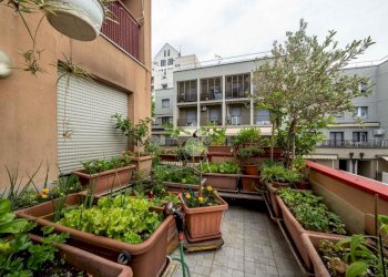 Appartamento Via Domenico Piani, Reggio nell'Emilia - foto 16