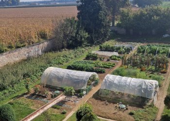 Appartamento Via del Bosco, frazione San Pietro Del Gallo, Cuneo - foto 7