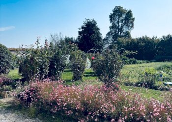 Appartamento Via del Bosco, frazione San Pietro Del Gallo, Cuneo - foto 10