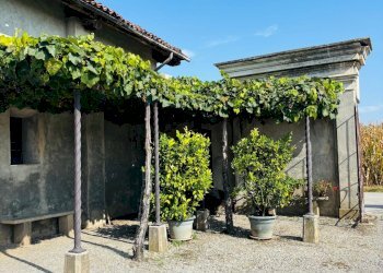 Appartamento Via del Bosco, frazione San Pietro Del Gallo, Cuneo - foto 11