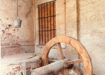 Appartamento Via del Bosco, frazione San Pietro Del Gallo, Cuneo - foto 19