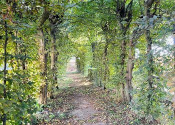 Appartamento Via del Bosco, frazione San Pietro Del Gallo, Cuneo - foto 20
