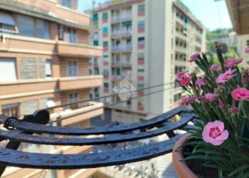 Bilocale Passo Olivette, Genova (zona Marassi) - foto 43