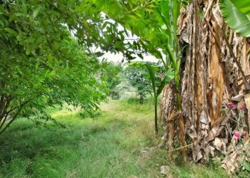 Casa indipendente Via Vische, Moncrivello - foto 42