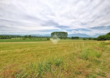 Casa indipendente Via Vische, Moncrivello - foto 44
