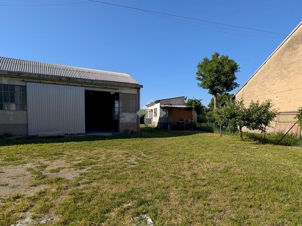 Capannone Strada Argine Malpensata, Casale Monferrato - foto 3