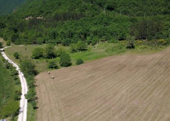 Foto 22 - Rustic Casa Colombi, Cerreto di Spoleto - photo 22