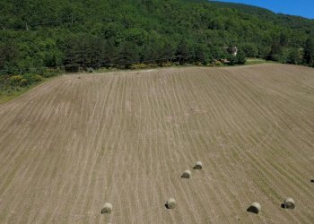 Foto 23 - Rustic Casa Colombi, Cerreto di Spoleto - photo 23