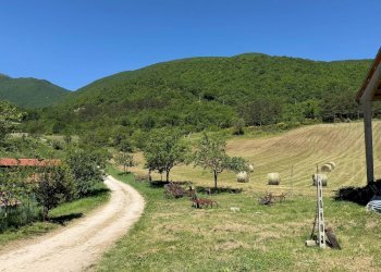 Foto 25 - Rustic Casa Colombi, Cerreto di Spoleto - photo 25
