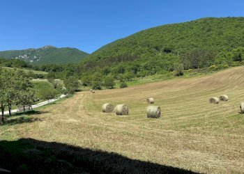 Foto 26 - Rustic Casa Colombi, Cerreto di Spoleto - photo 26