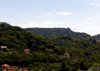 Foto 23 - Appartamento PERGOLESI
 
41, Genova - foto 23