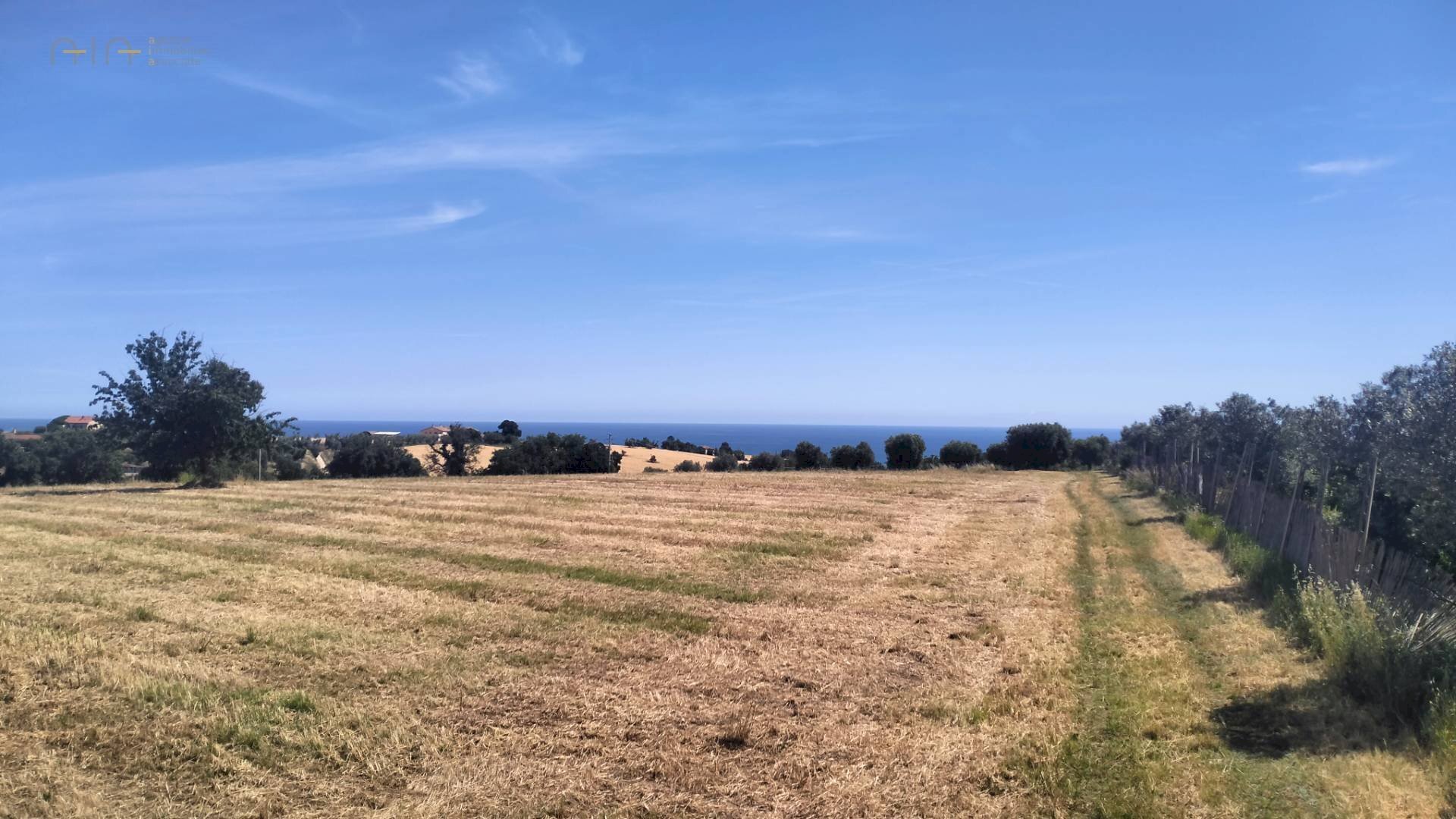 Foto 1 - Terreno agricolo contrada Monti, Grottammare - foto 1