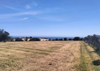 Foto 1 - Terreno agricolo contrada Monti, Grottammare - foto 1
