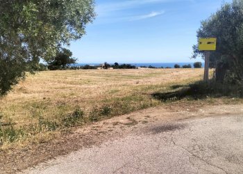 Foto 3 - Terreno agricolo contrada Monti, Grottammare - foto 3