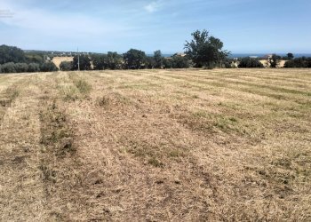 Foto 7 - Terreno agricolo contrada Monti, Grottammare - foto 7