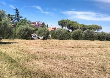 Foto 10 - Terreno agricolo contrada Monti, Grottammare - foto 10